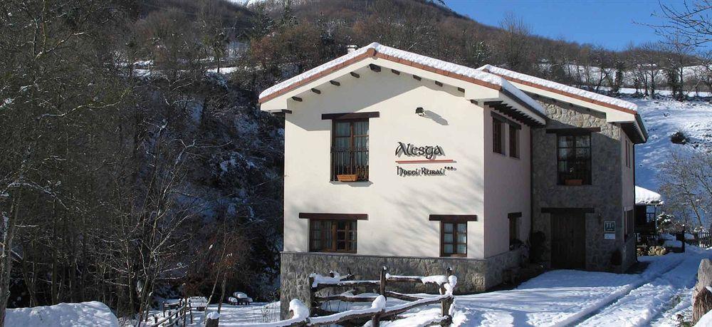 Alesga Hotel Rural - Valles Del Oso -Asturias Сан-Салвадор Экстерьер фото