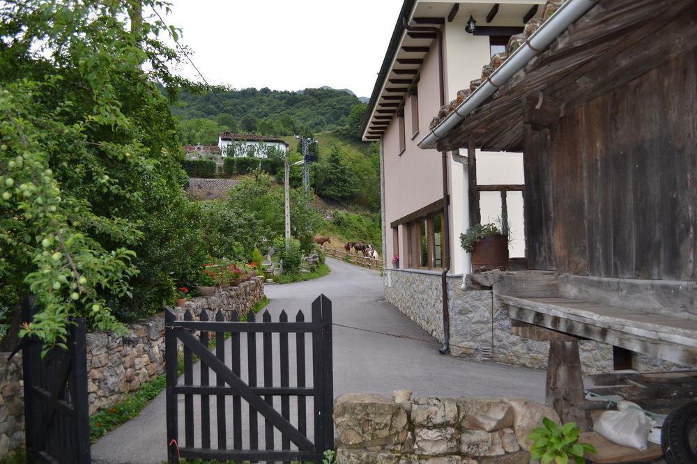 Alesga Hotel Rural - Valles Del Oso -Asturias Сан-Салвадор Экстерьер фото