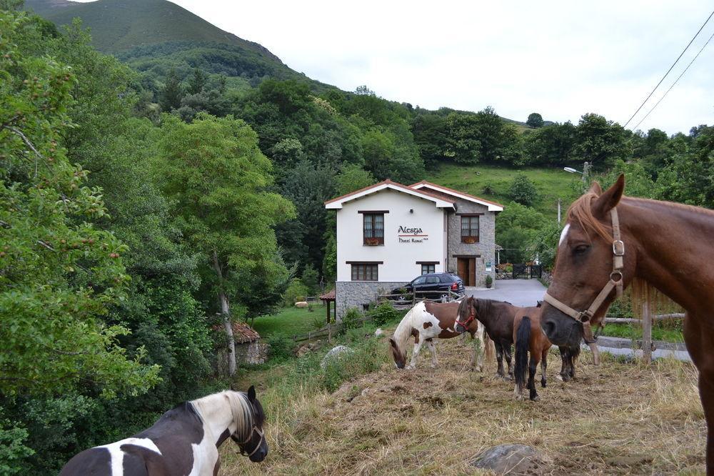 Alesga Hotel Rural - Valles Del Oso -Asturias Сан-Салвадор Экстерьер фото