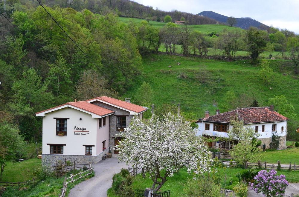 Alesga Hotel Rural - Valles Del Oso -Asturias Сан-Салвадор Экстерьер фото
