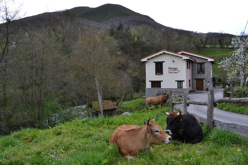 Alesga Hotel Rural - Valles Del Oso -Asturias Сан-Салвадор Экстерьер фото
