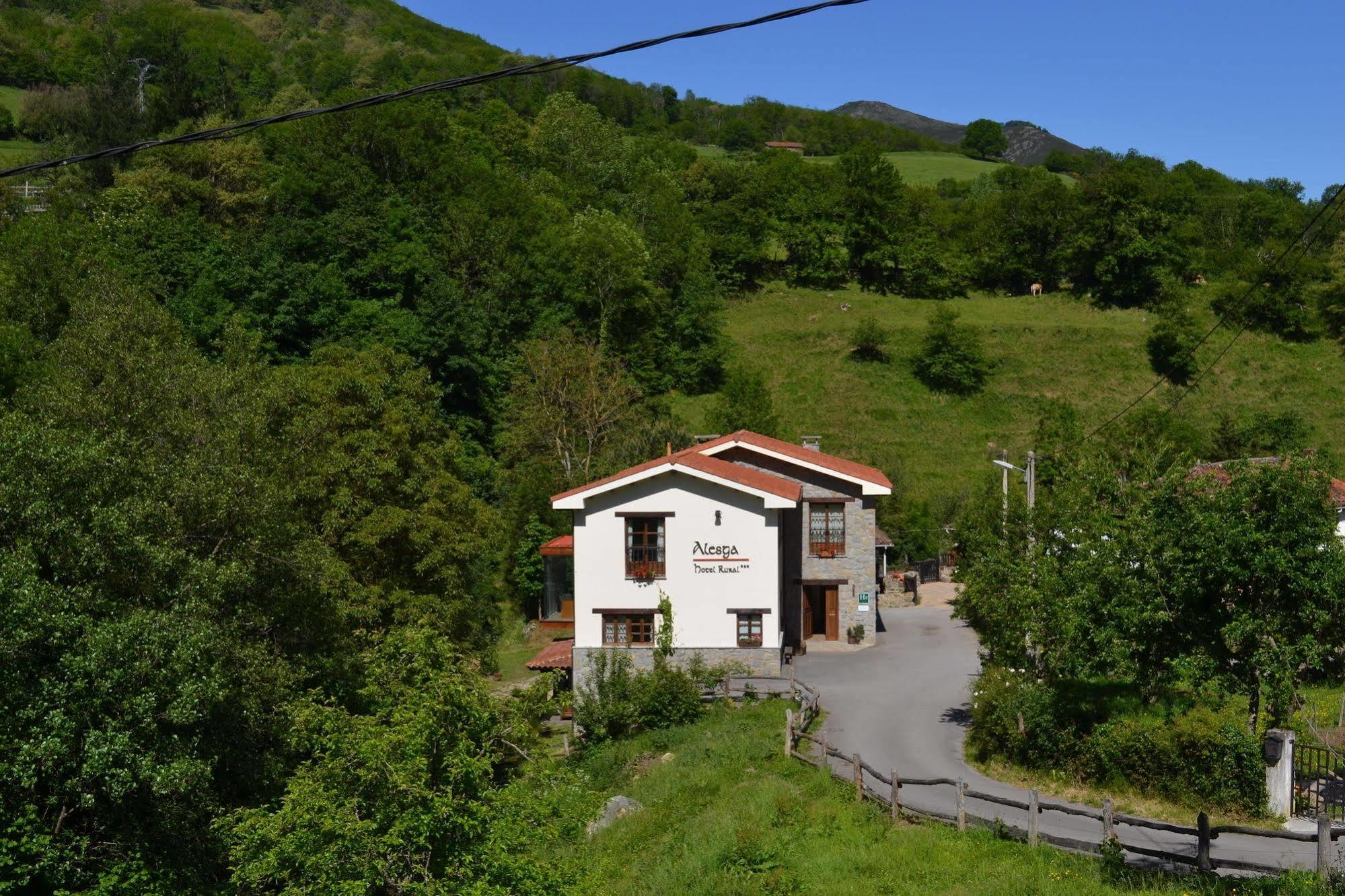 Alesga Hotel Rural - Valles Del Oso -Asturias Сан-Салвадор Экстерьер фото